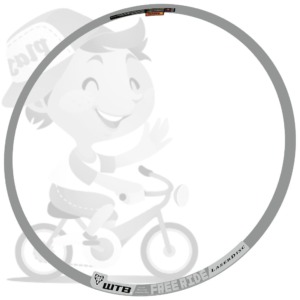 240401_wtb_laser_disc_freeride_rim_sticker_set_2011_gray