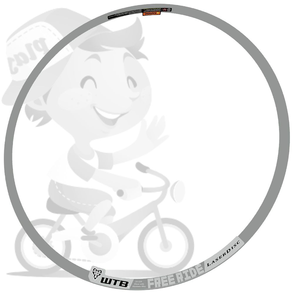 WTB(ダブリュティービー)LASER DISC FREERIDE(レーザーディスクフリーライド)リムステッカーセット(2011/グレー)
