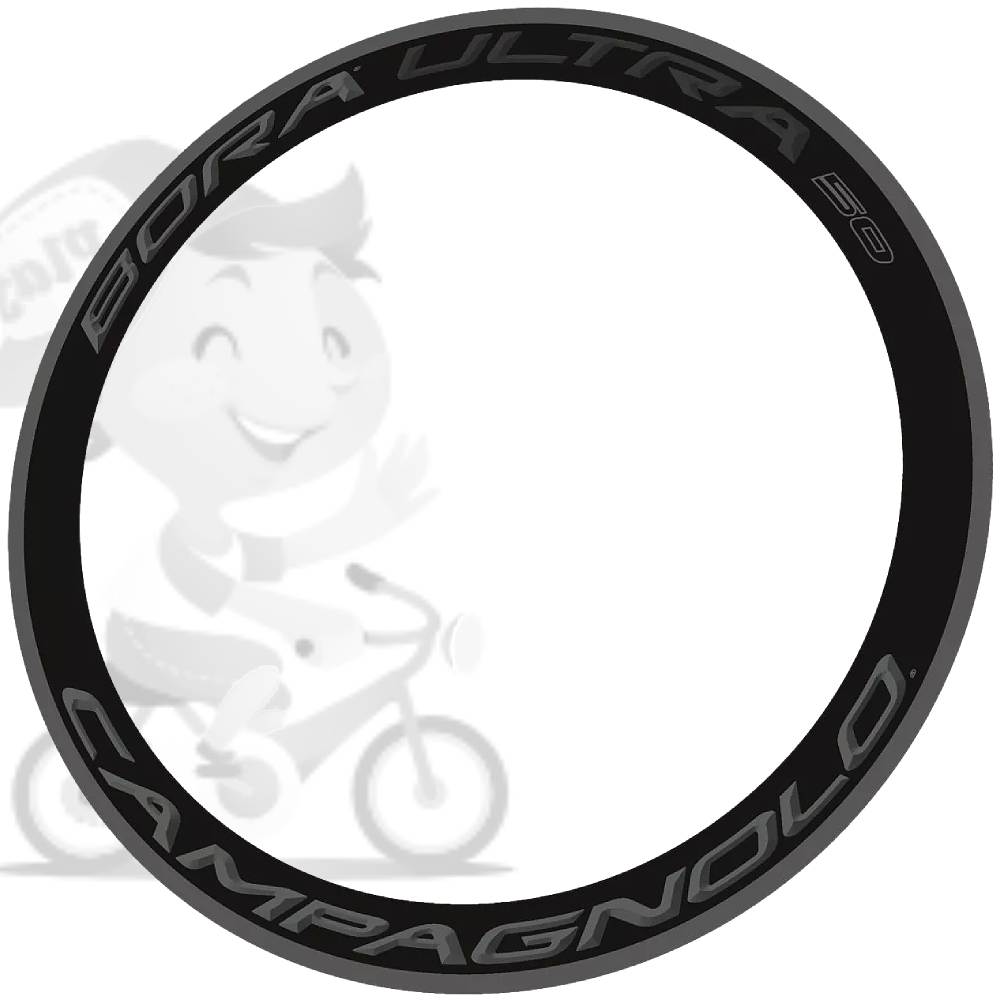CAMPAGNOLO(カンパニョーロ)BORA ULTRA(ボラウルトラ)80 リム