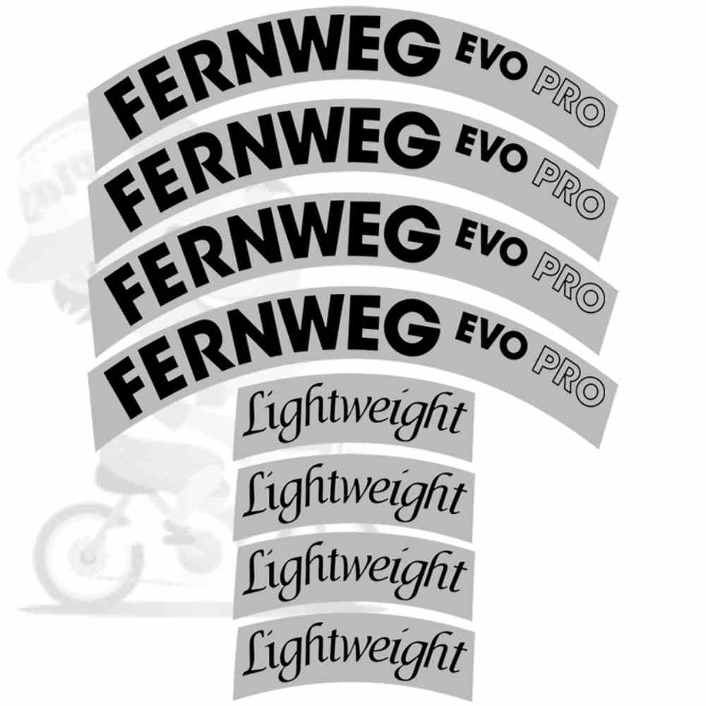 LIGHTWEIGHT(ライトウェイト)FERNWEG EVO(フェーンウェグエボ)カーボンホイールステッカーセット(85mm/グロスブラック/ホイール2本分)