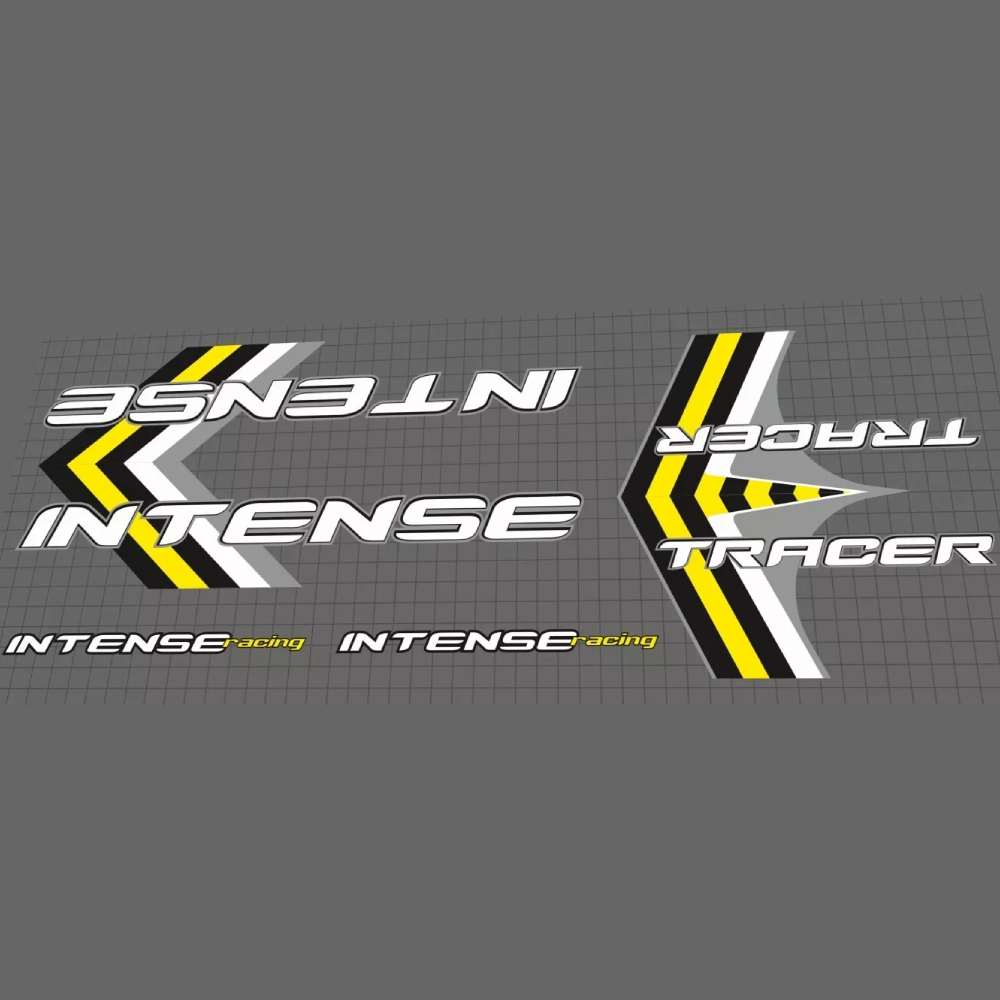 INTENSE(インテンス)TRACER(トレーサー)フレームステッカーセット(2001)