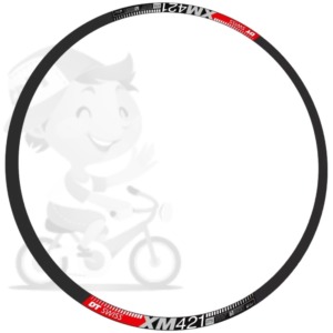 250501_dt_swiss_xm421_rim_sticker_set
