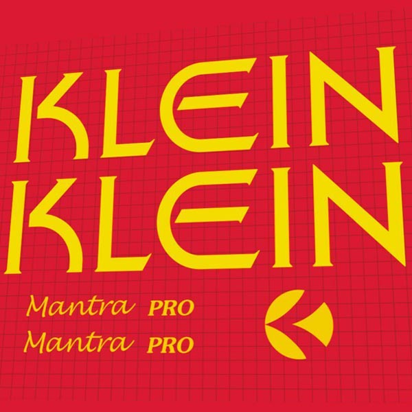 KLEIN(クライン)Mantra PRO(マントラプロ)ステッカーセット(1996)