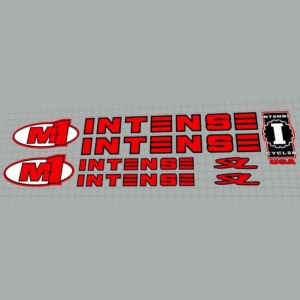 250815_intense_m1_frame_sticker_set_1998