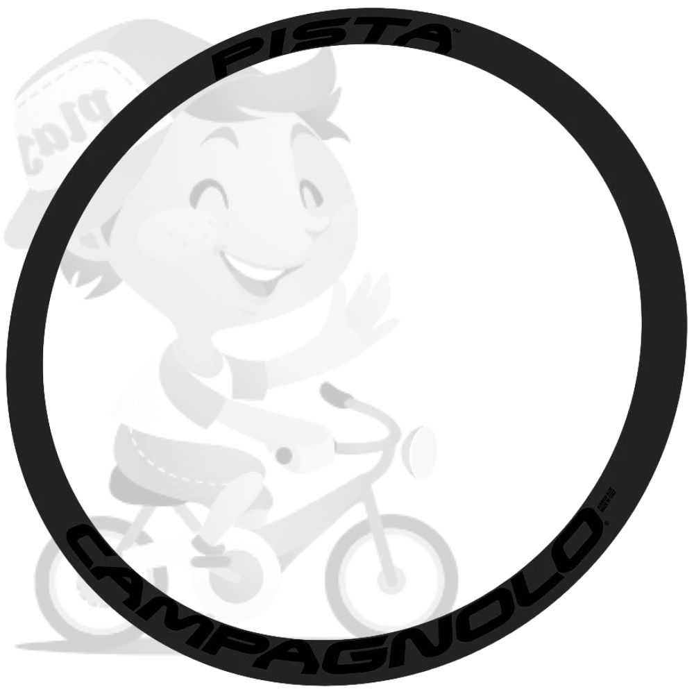 CAMPAGNOLO(カンパニョーロ)PISTA(ピスタ)リムステッカーセット(リム2本分/グロスブラック)