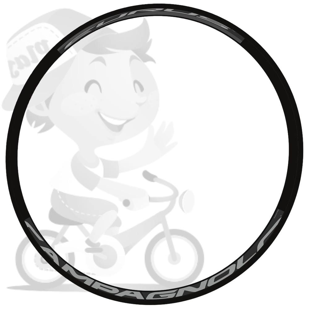 CAMPAGNOLO(カンパニョーロ)EURUS(ユーラス)リムステッカーセット(リム2本分セット/グレー)